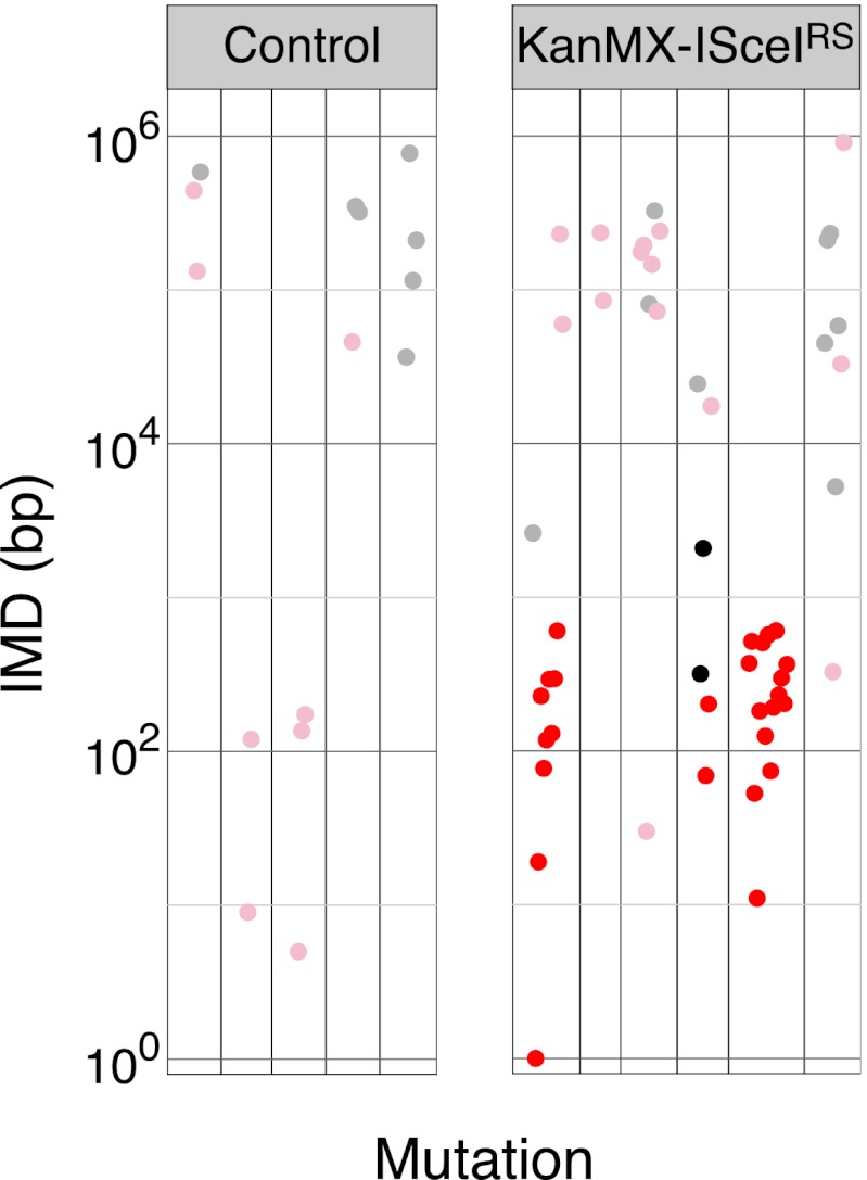 Figure 2—figure supplement 2.