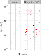 Figure 2—figure supplement 2.