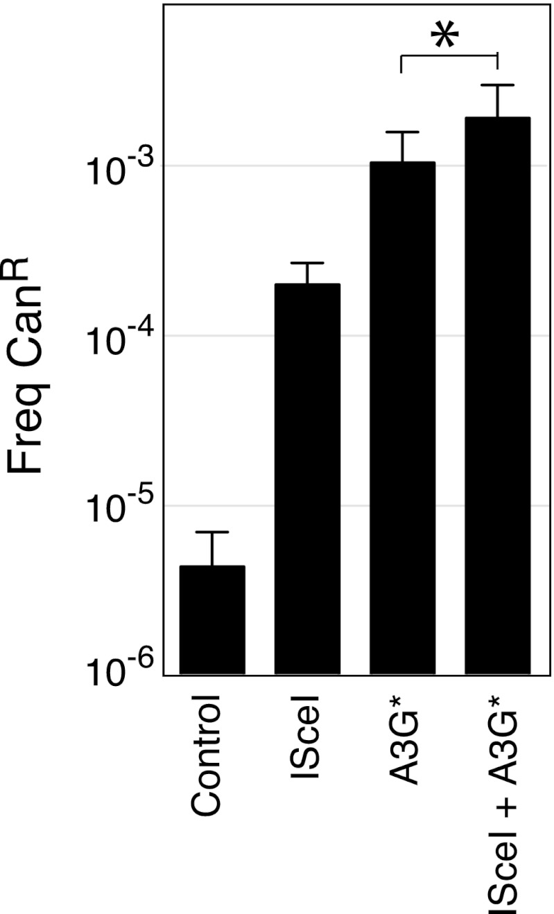 Figure 2—figure supplement 1.