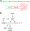 Fig. 10.