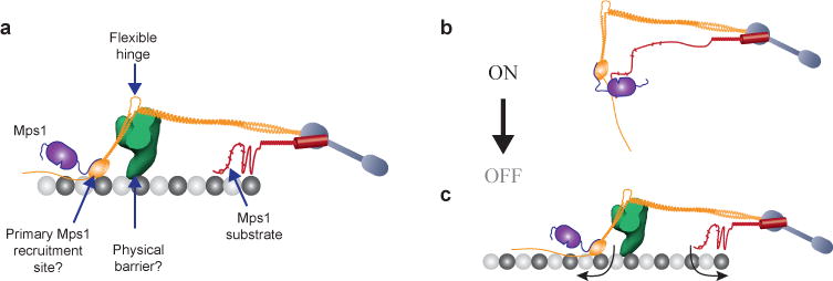 Figure 8