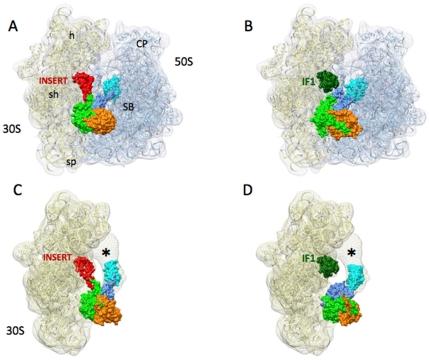 Figure 7