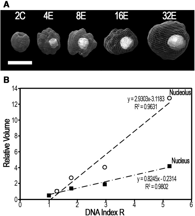 Fig. 3.—