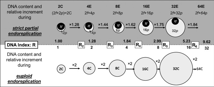 Fig. 6.—