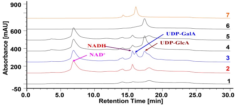 Figure 7