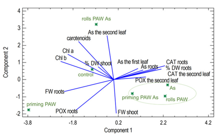 Figure 12