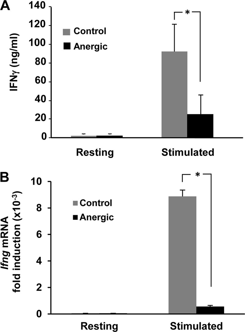 FIG 1