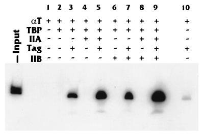 FIG. 7