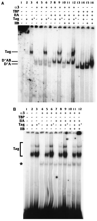 FIG. 6