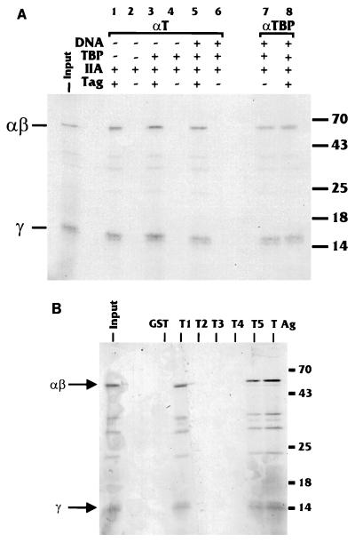 FIG. 8