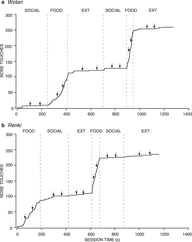 Fig. 12