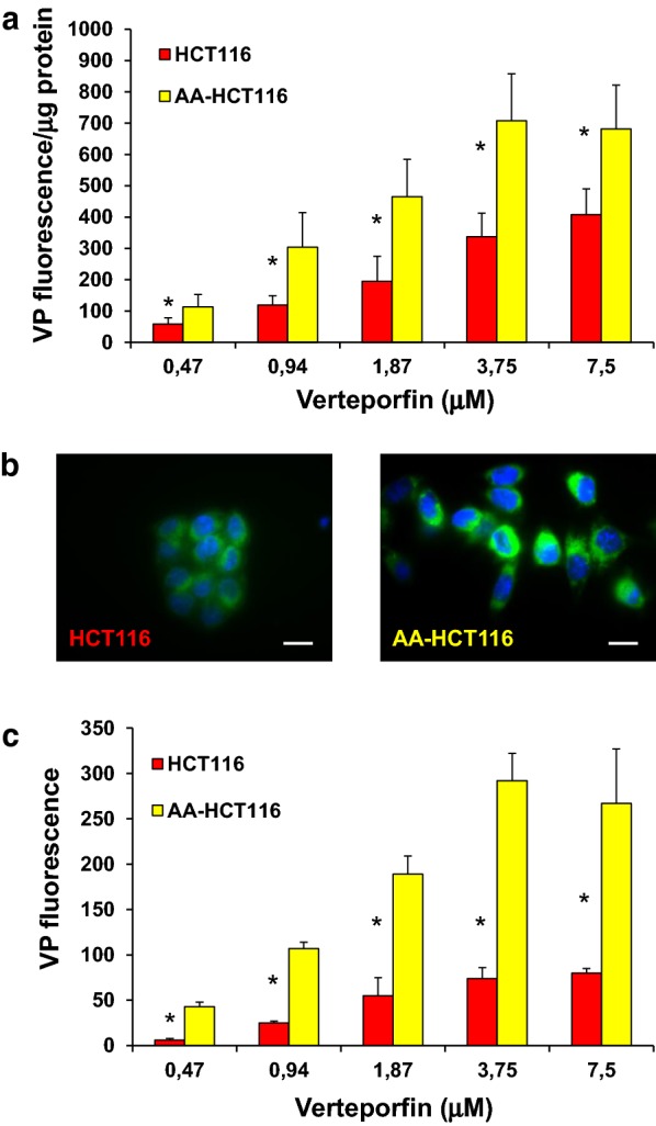 Fig. 6