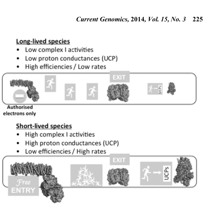 Fig. (5)