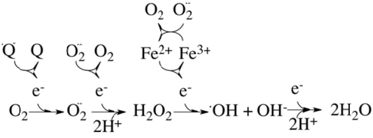 Fig. (1)