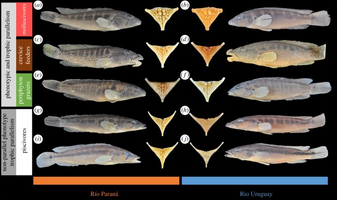 Figure 4.