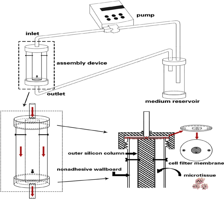 Figure 1