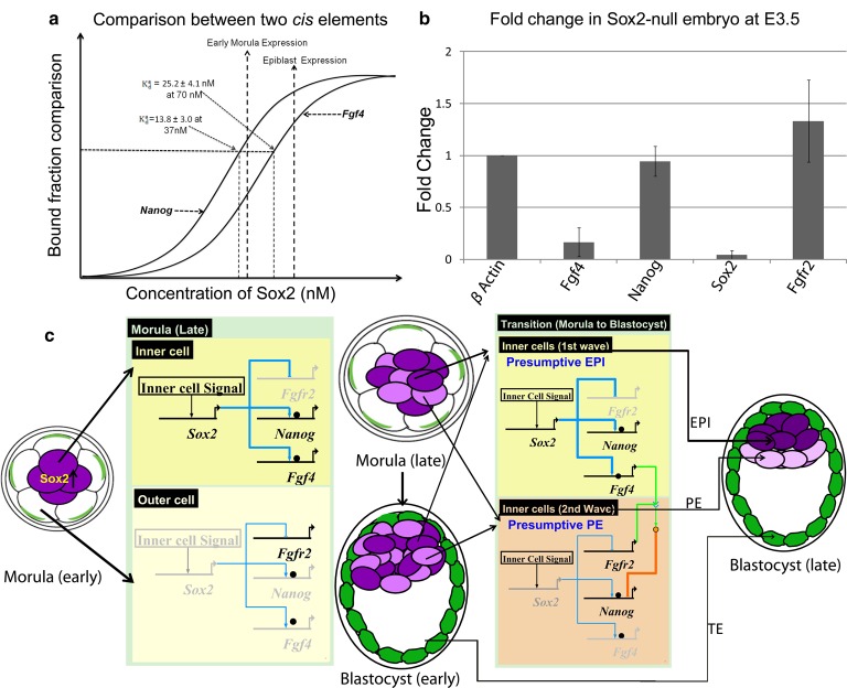 Figure 6.