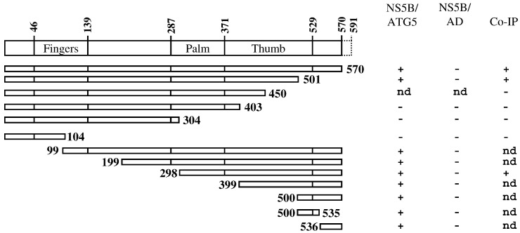 Fig. 3