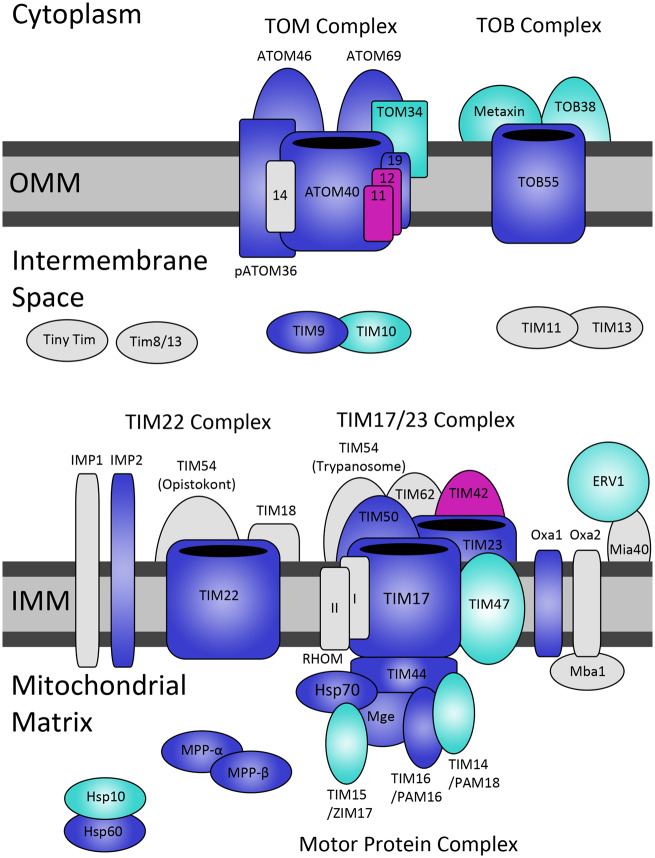 Fig. 3.