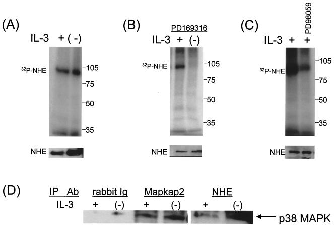 FIG. 6