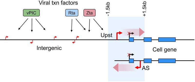 Graphical Abstract