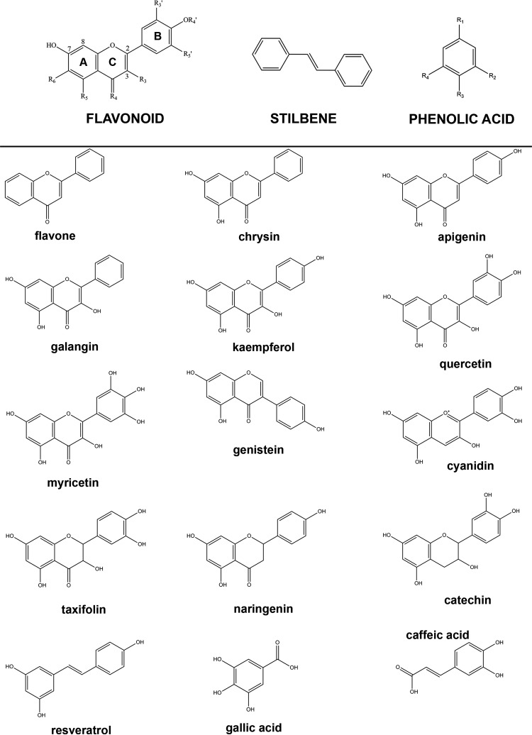 Figure 2