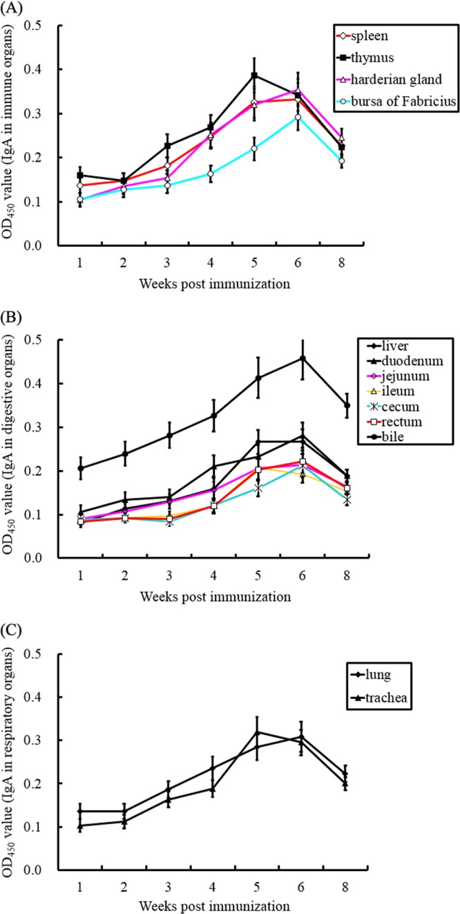 FIG 3