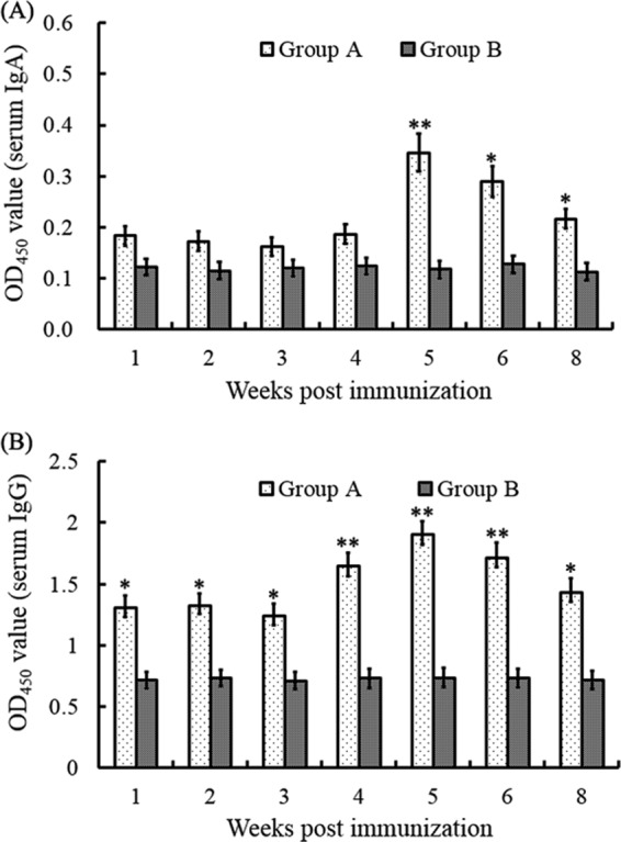 FIG 2