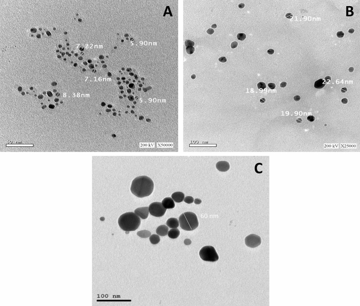 Figure 7
