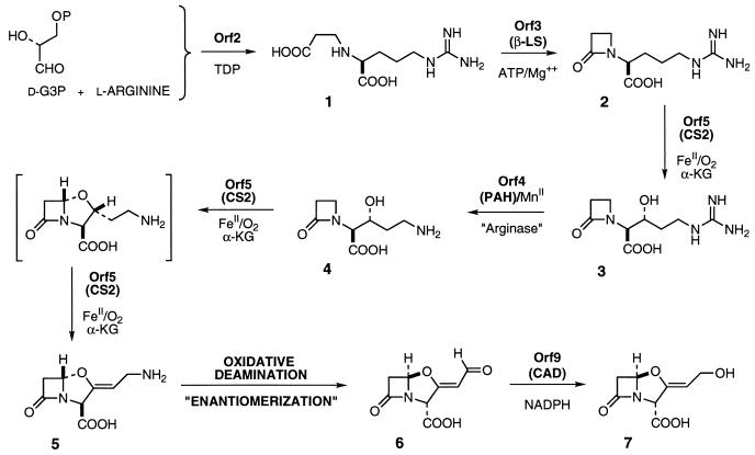 FIG. 1