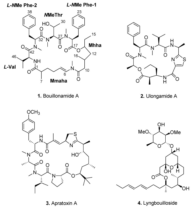 Figure 2