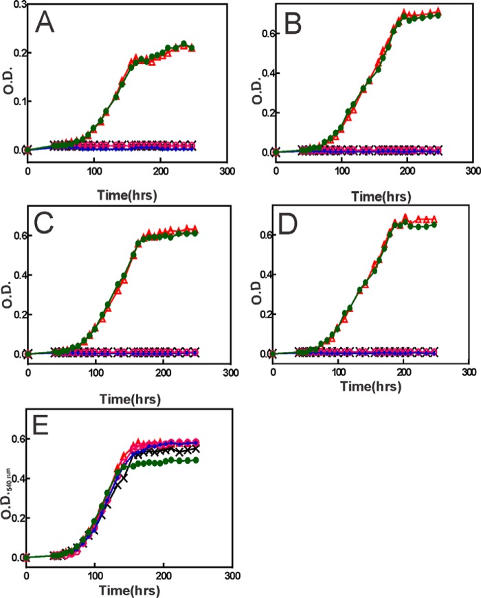 FIGURE 2.