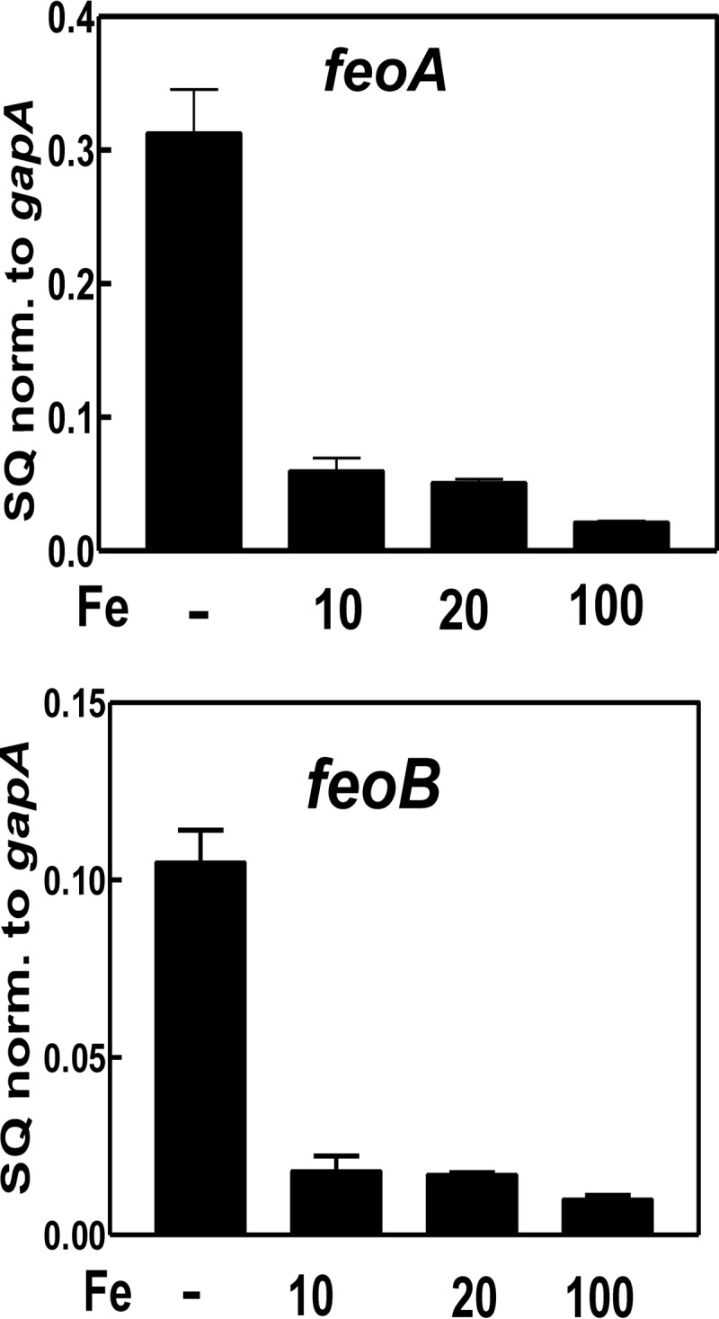 FIGURE 4.