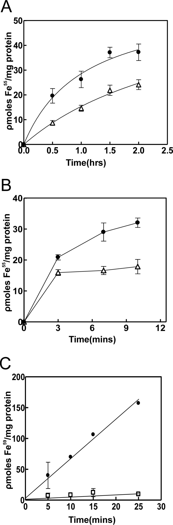 FIGURE 7.