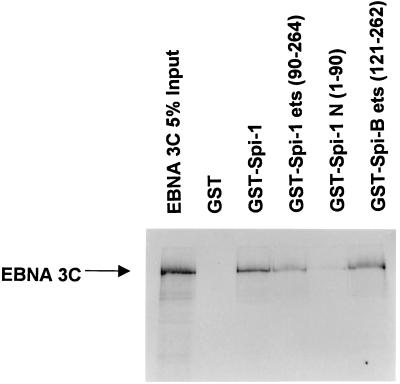 FIG. 11