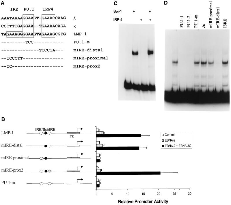 FIG. 6