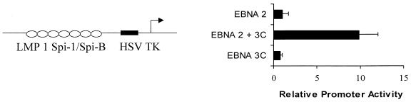 FIG. 7