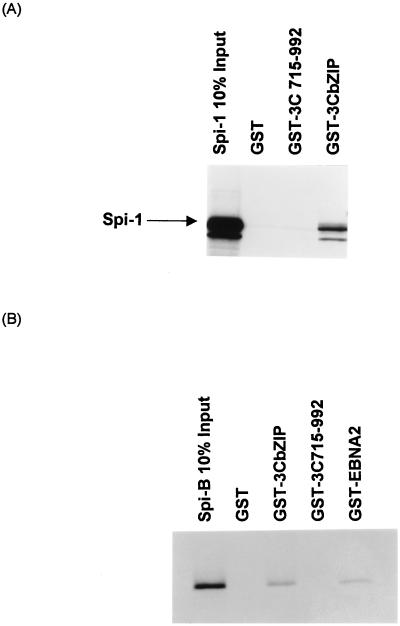 FIG. 10