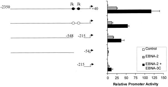 FIG. 1