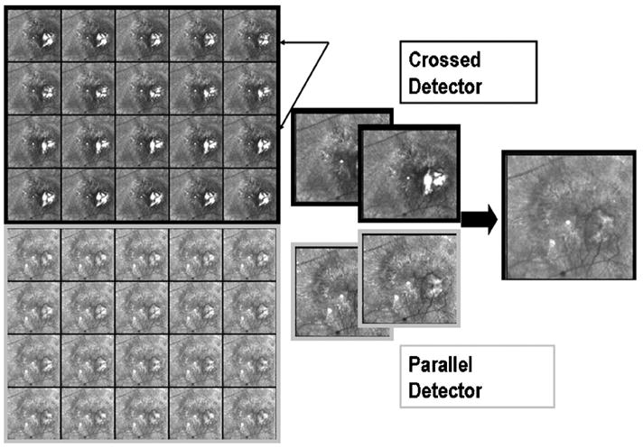 Fig. 3