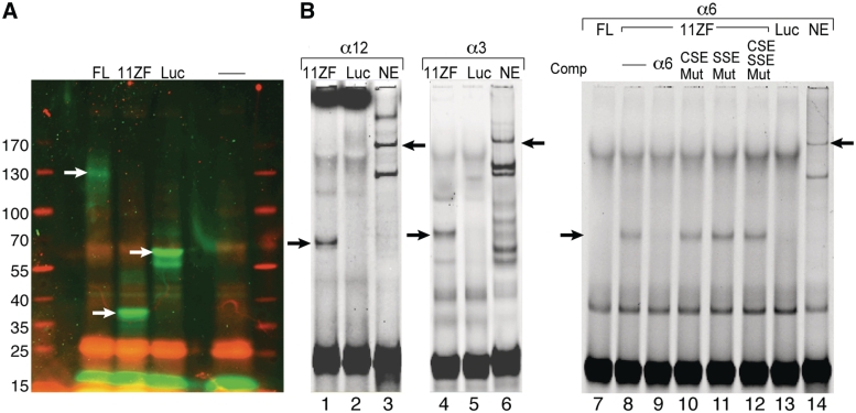 Figure 6.