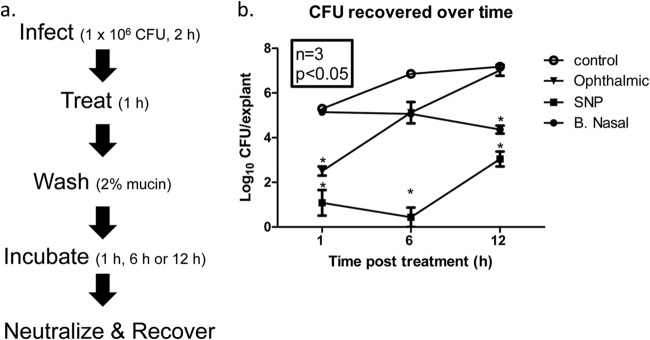 FIG 1