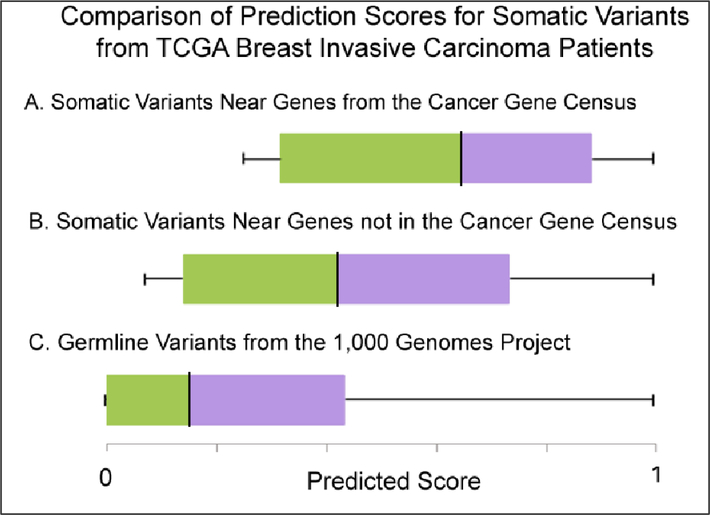 Figure 4: