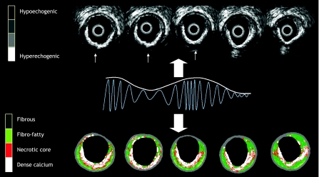 Fig. 1