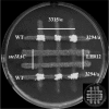 FIG 4