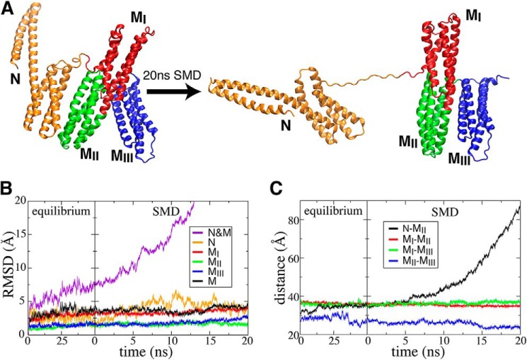 FIGURE 4.