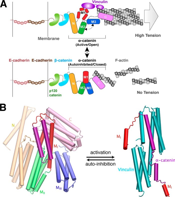 FIGURE 2.