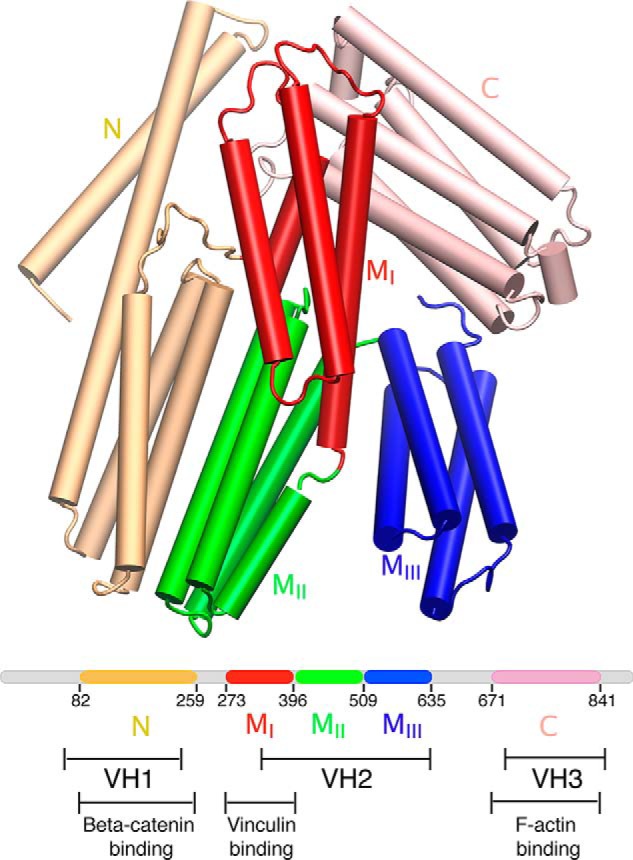 FIGURE 1.