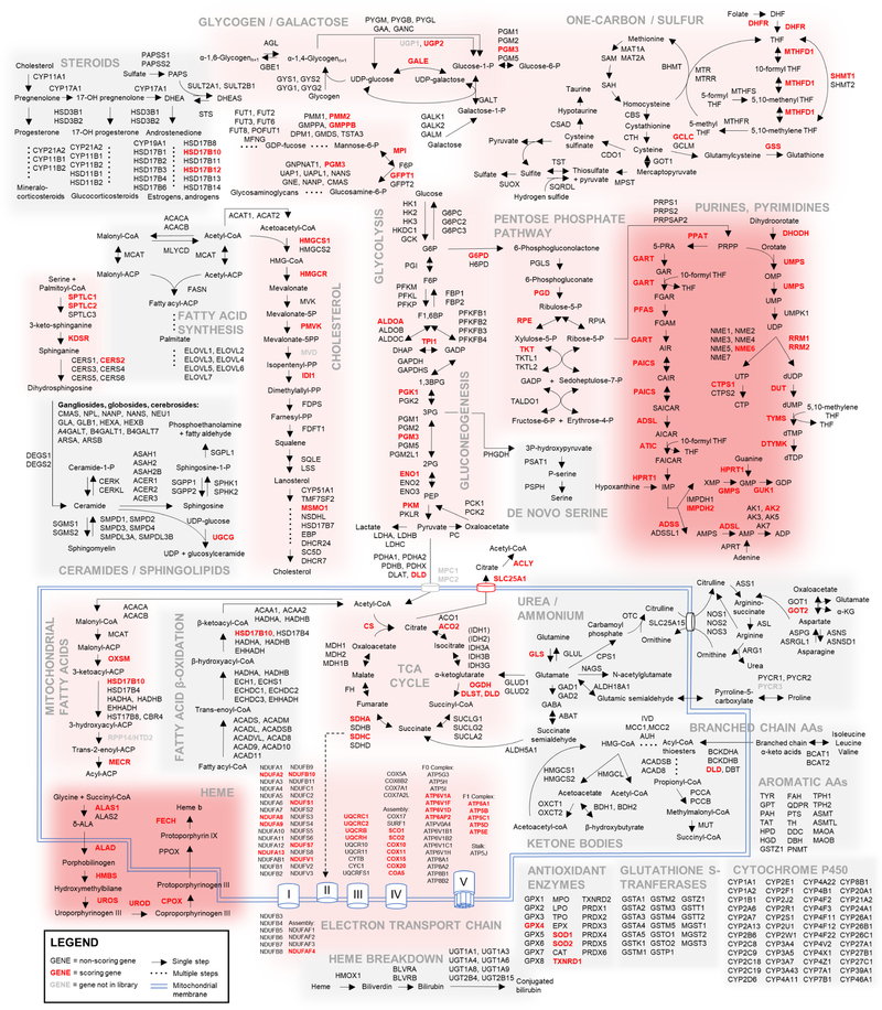 Figure 2: