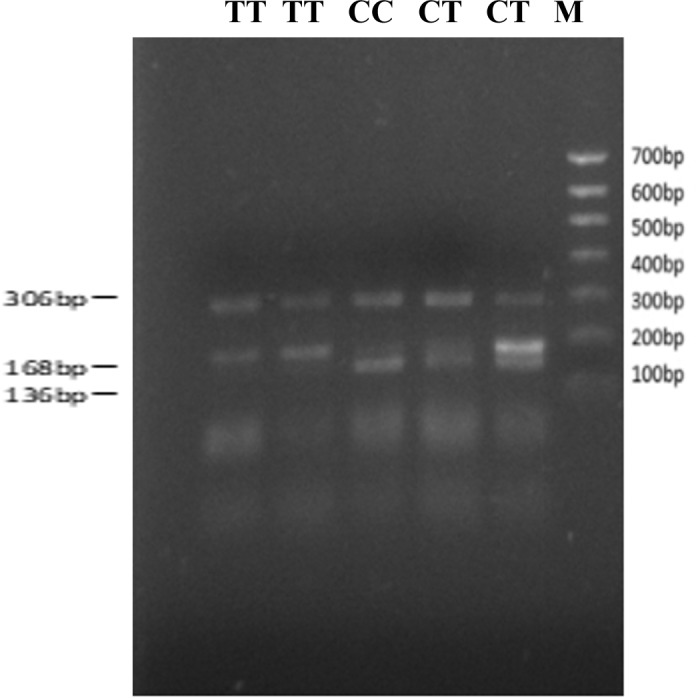 Figure 2